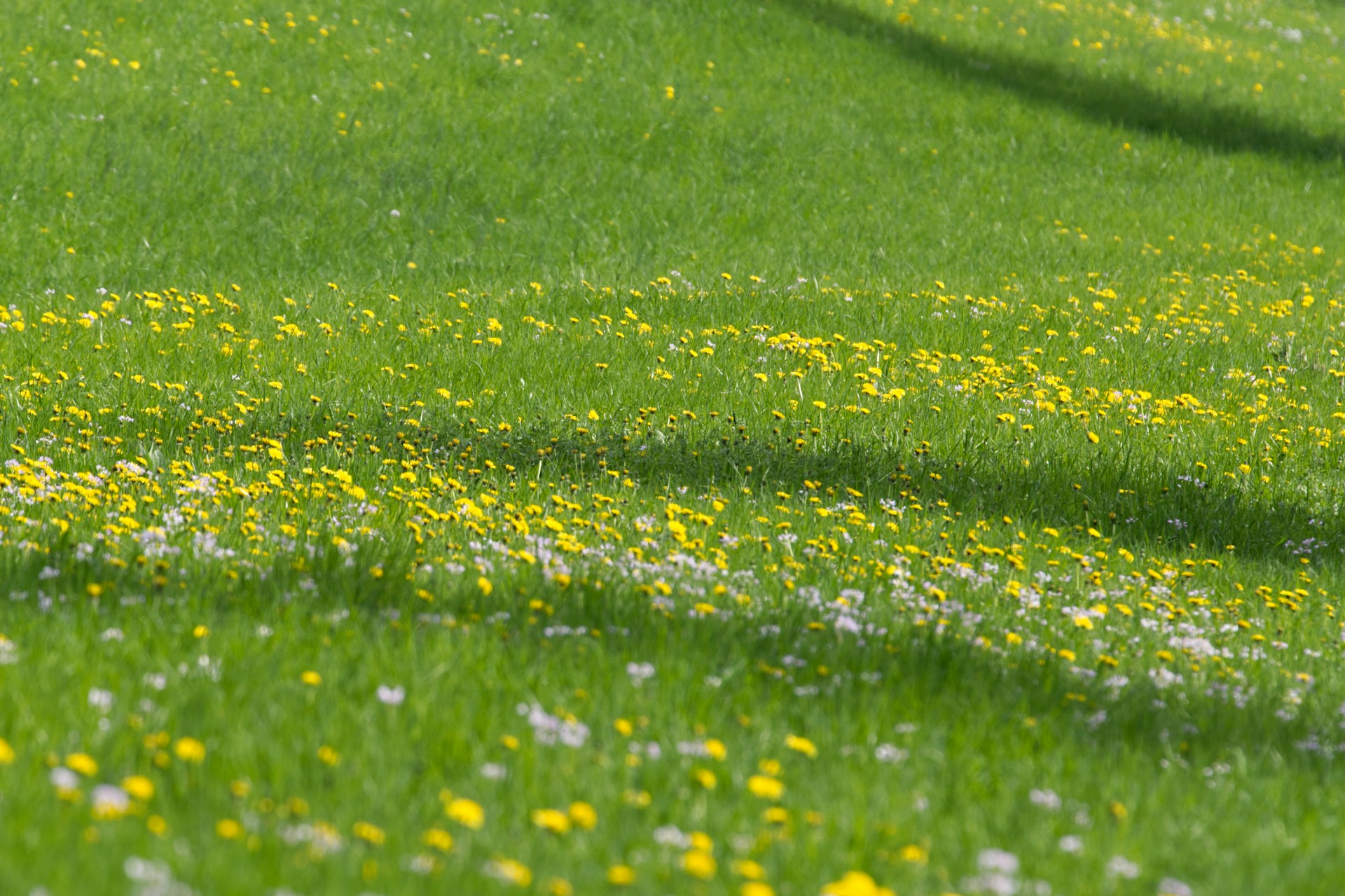 ISO14001 - Environment 1 iso14001
