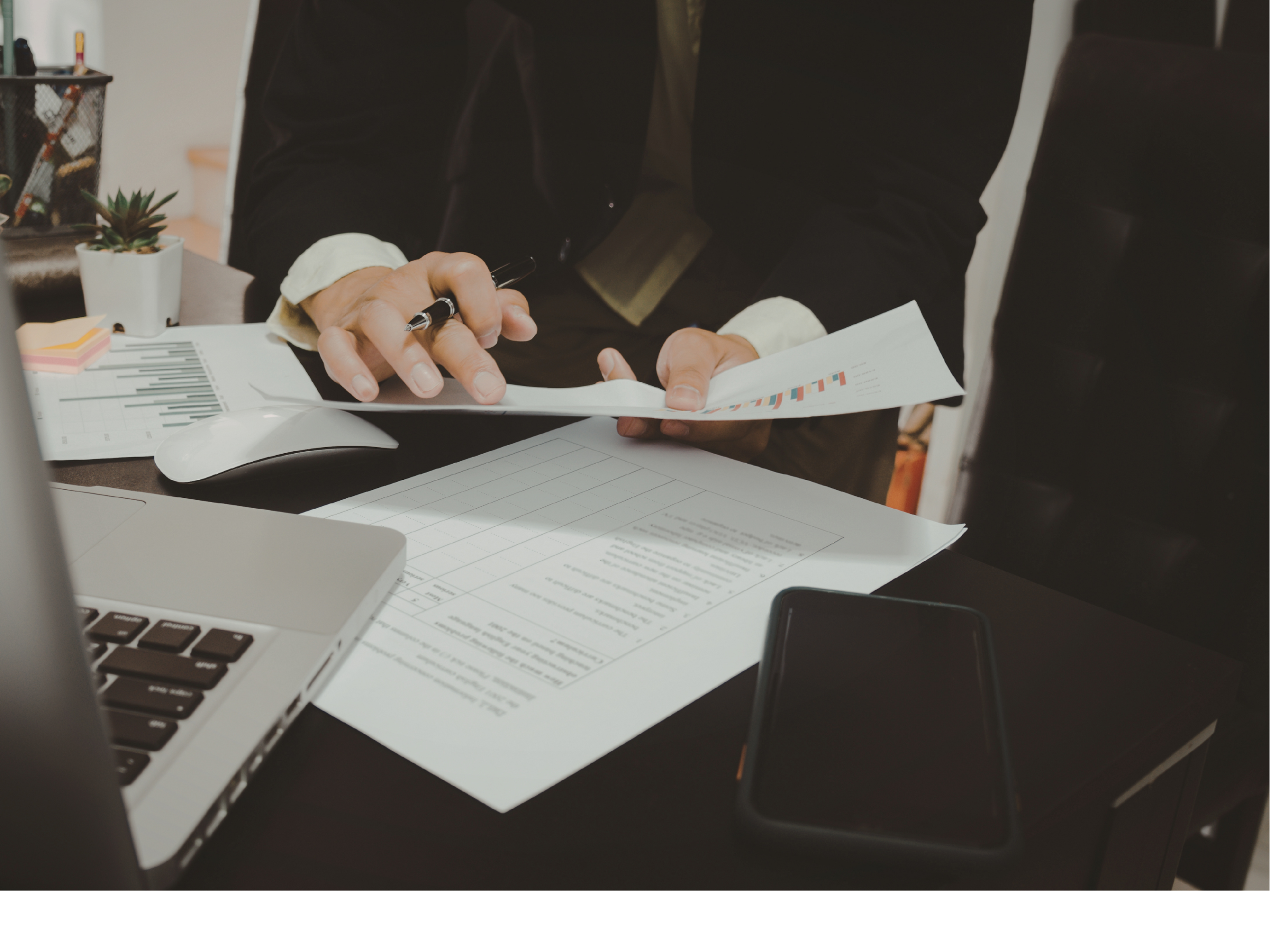 Professional reviewing management system documents and business records